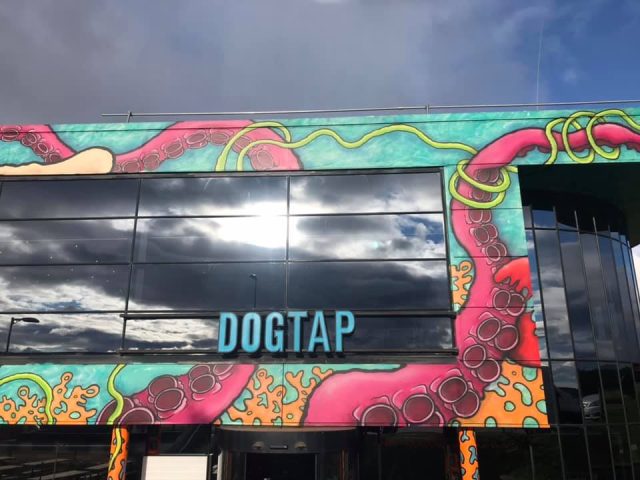 Artificial Grass outside Brewdog | Easigrass Aberdeen